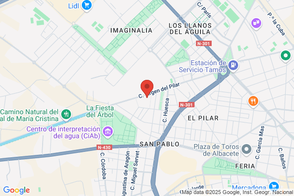 Manzanares Palarea j.F. Y Otra Cdad