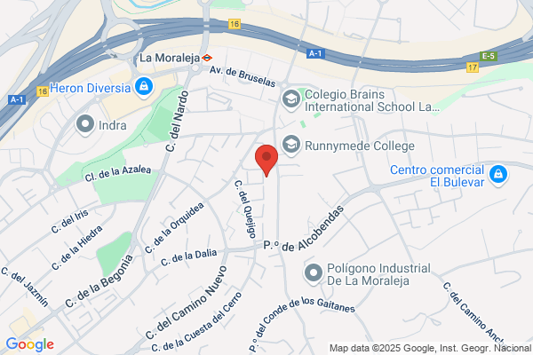 Academia de idiomas - Alive & Speaking