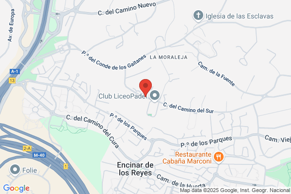 Fomento De Inversiones Castellana S.A.