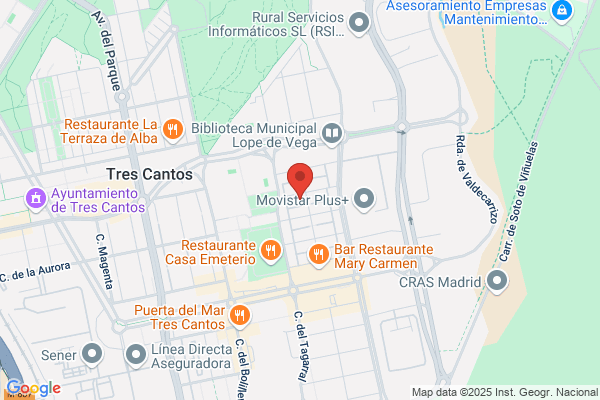 Professional Painter pintor en Madrid
