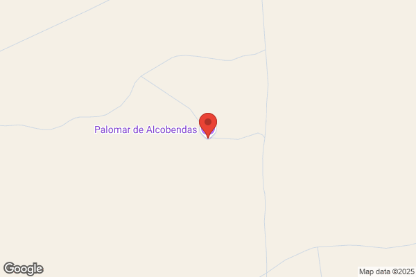 Palomar Sanz r.