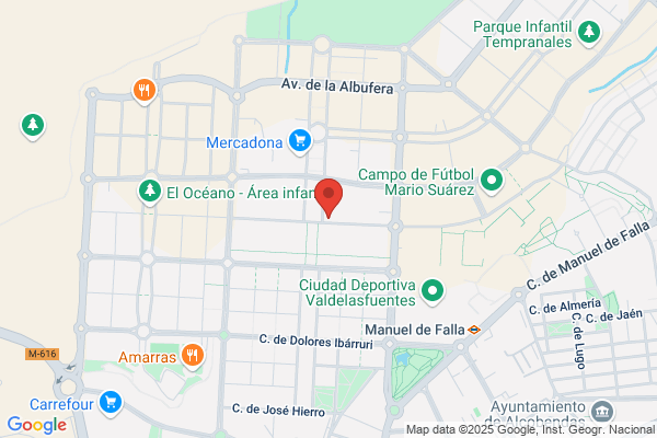 Academia Nieves S.L.