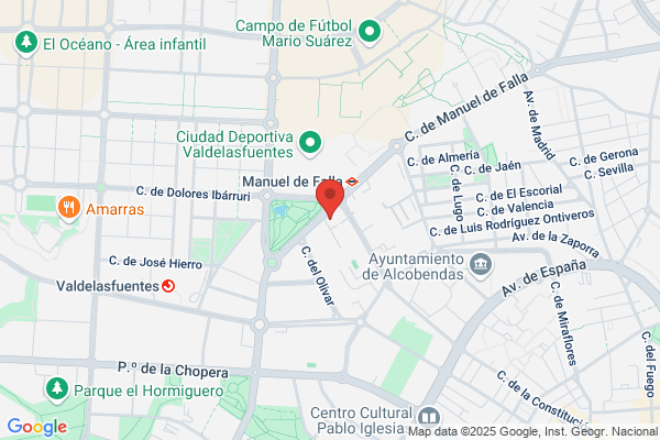 Centro Veterinario Manuel de Falla 26