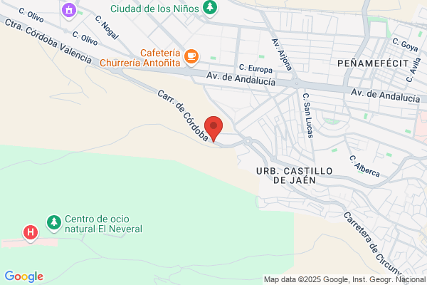 Centros Familiares De Enseñanza S. A.