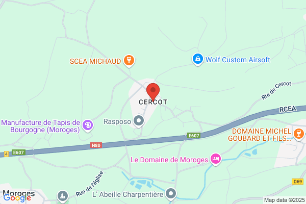 Cercot S.A.