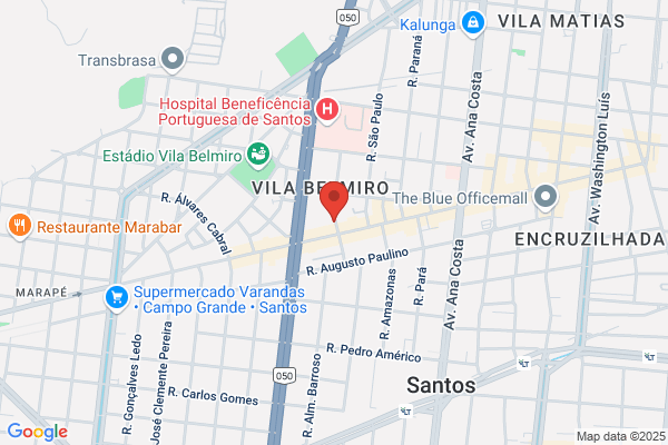 Pintores Santos