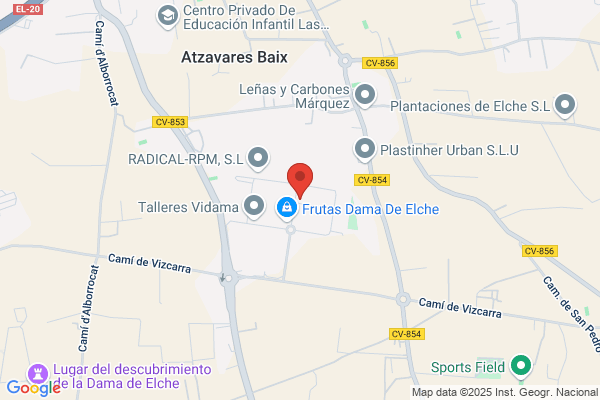 Agencia De Transportes Fedetrans S.L.