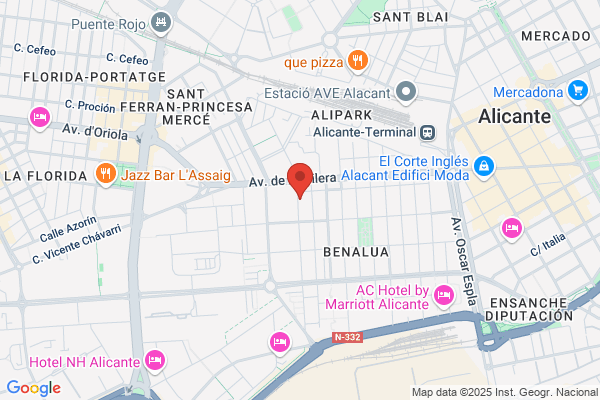 Registro Control Y Servicios De Alicante S.L.
