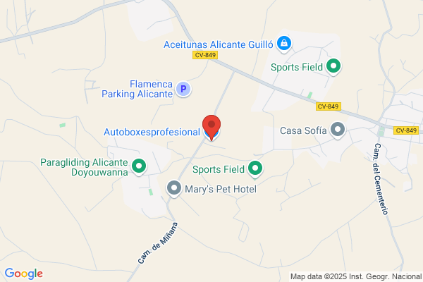 Automoviles Box