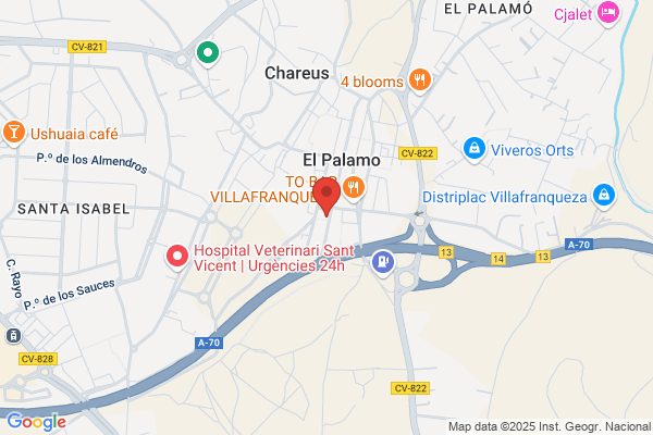 Desarrollo Informatico S. A.