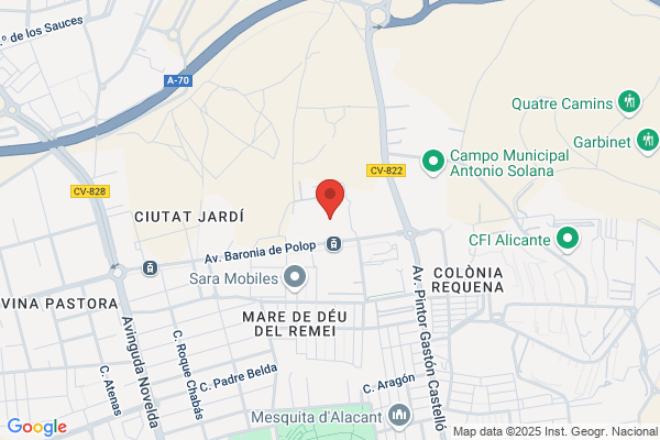 Instituto De Formacion Profesional Virgen Del Remedio