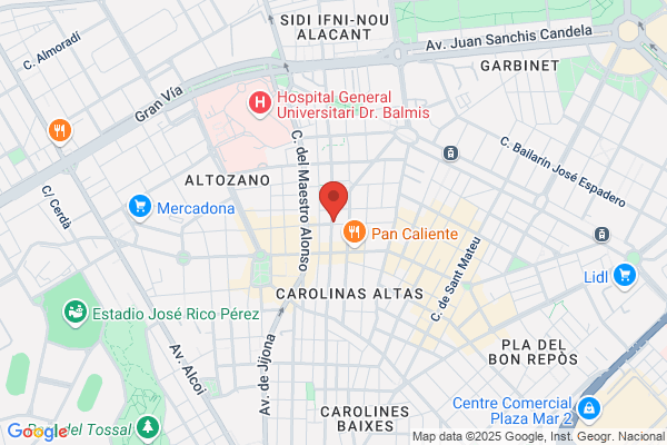 Heladeria La Flor De Xixona