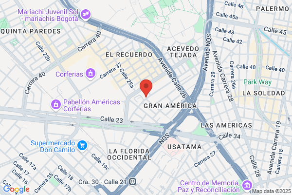 Patologia Y Construccion De Estructuras S.A.