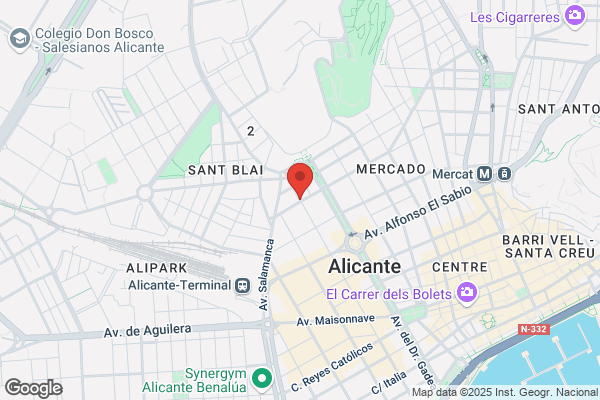 Alicante Motor S. L.