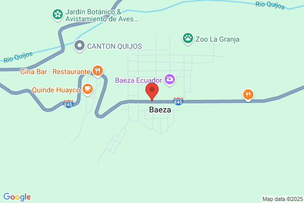 Baeza Vicedo a.