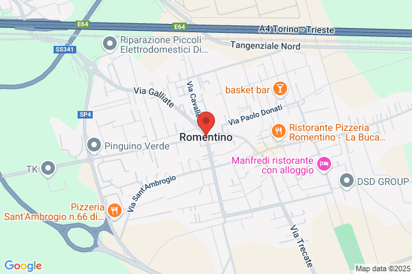 Romentino S.A.