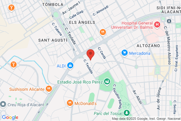 Brisa Seguridad S.L.