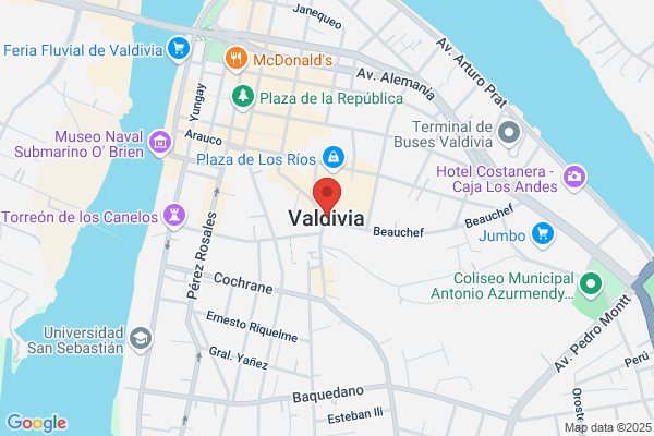 Valdivia Segura c.