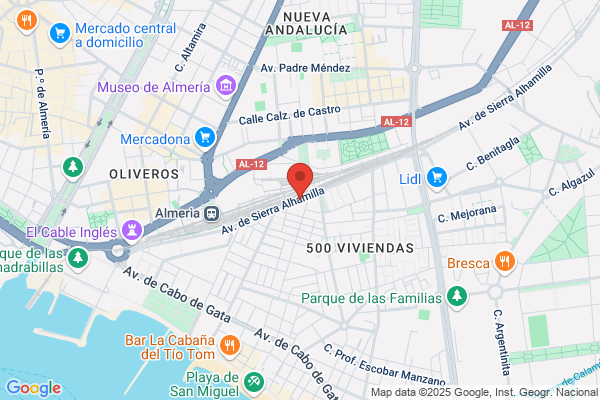 Almeriense De Seguridad S.L.