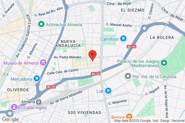 Centro De Fisioterapia Nueva Andalucia S.L.