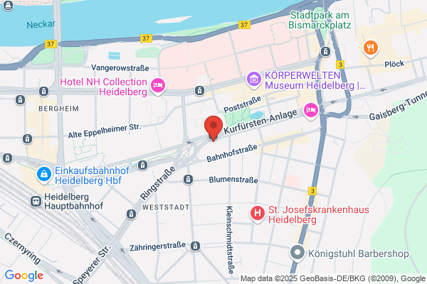 Hostal Minava S.L.
