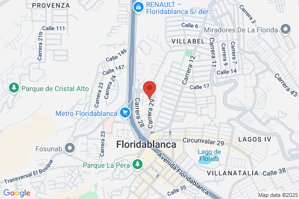 Lopez Flores m.