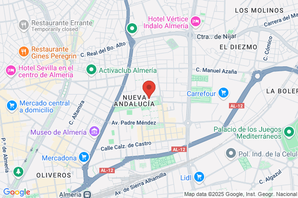 Vique Y Soriano S.L.