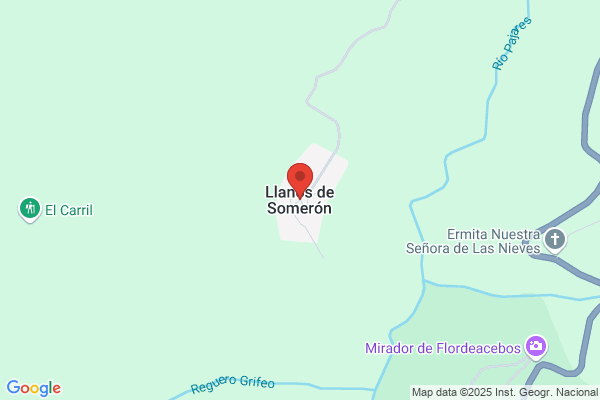 El Llano De Sanson S. A.