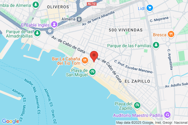 Homeopatia Concepcion Villegas Salmeros