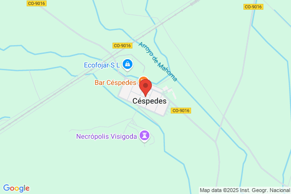 Cespedes Berenguel j.