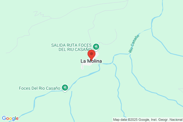 Molina Cantonm. A.