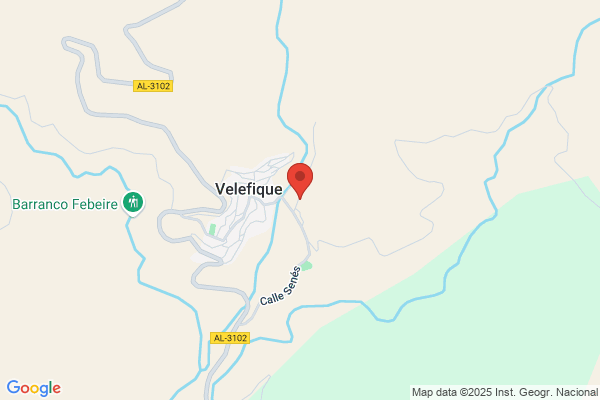 Hosteleria Velefique S.L.