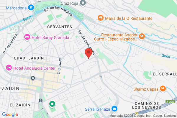 Instituto Andaluz De Estudios Empresariales