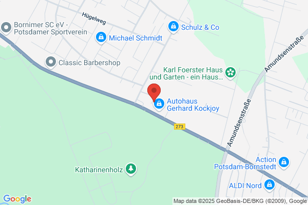 BOSCH CAR SERVICE