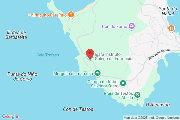 Asociacion Profesional De Silvicultores De Galicia
