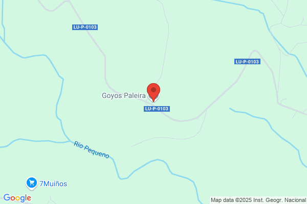 Goyos Exposito l.