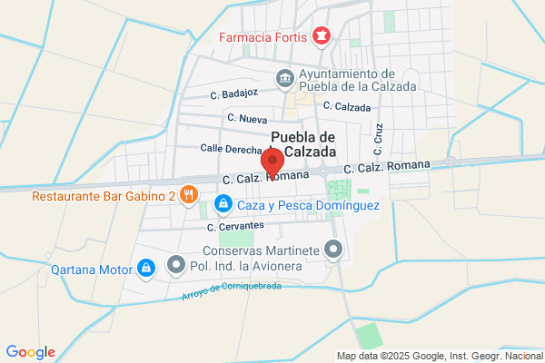 Auto Puebla S. L.