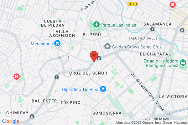 Taller Electricidad Del Automovil O Pepe