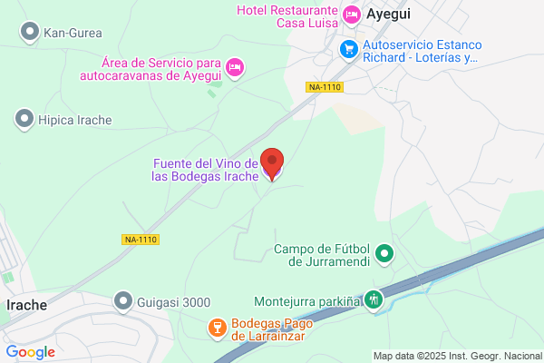 Ayegui S. A.