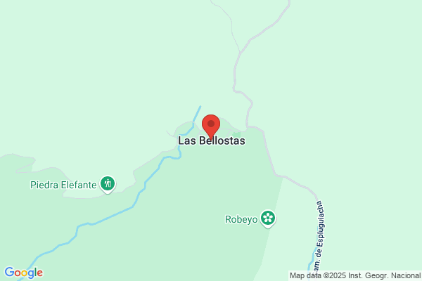 Bellostas Laliena r.