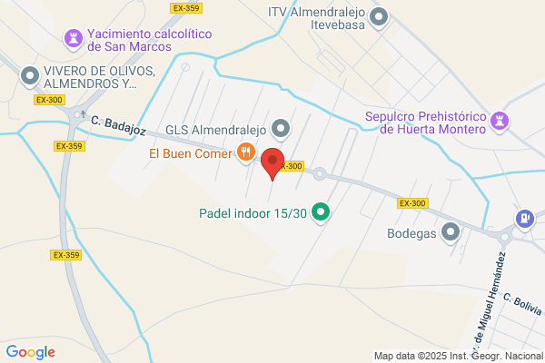 Agroalmendralejo Sl