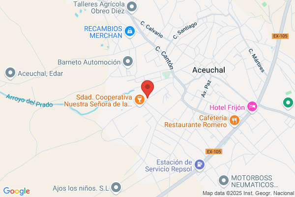 Bartolome Rejano Y Pedro Reboloso C.B. - aceitunas