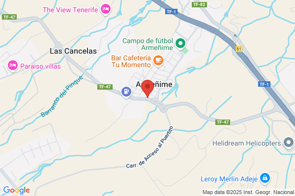 Veterinario Vet Sur Armeñime