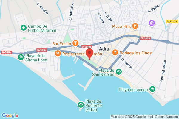 Transportes Pintor S.A.