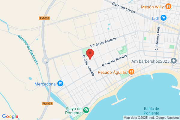 Aguilas Integra Consultores