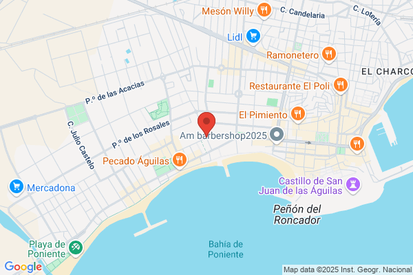 EMPLEO DE AGUILAS SL ALFONSO