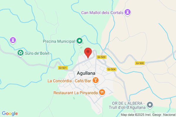 Escola Publica Dagullana