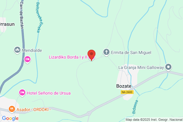 Borda Izaguirre m. I.
