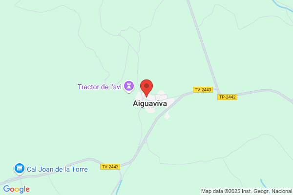 Restaurant Celler Daiguaviva