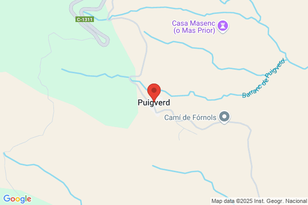 Puigvert Puig f.
